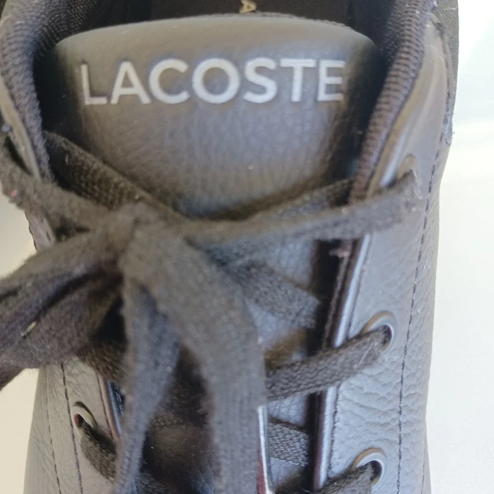 Lacoste minzah 319